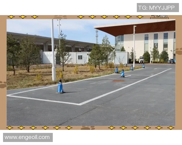 优化观众停车区域划分提升活动体验与交通效率的综合方案