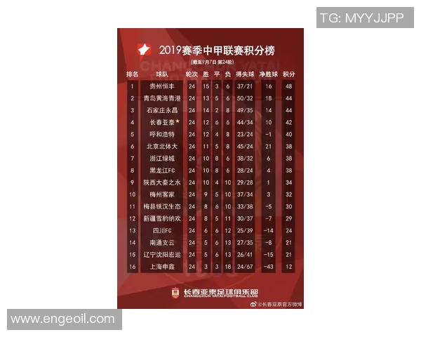 中甲联赛最新积分动态分析与球队排名变化全景播报
